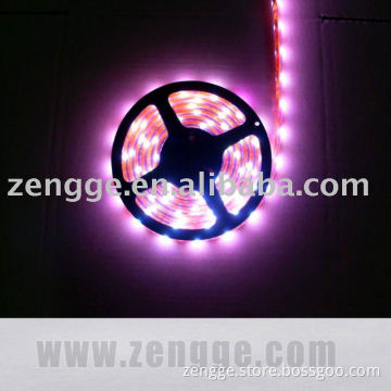new product! Waterproof IP65 Flexible 5050 purple SMD LED strips